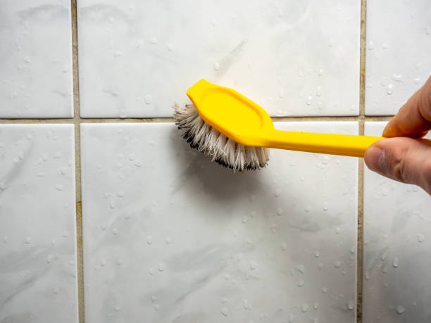 Tabor City, NC Mold Removal Company