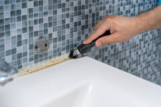 Best Professional Mold Removal  in Tabor City, NC