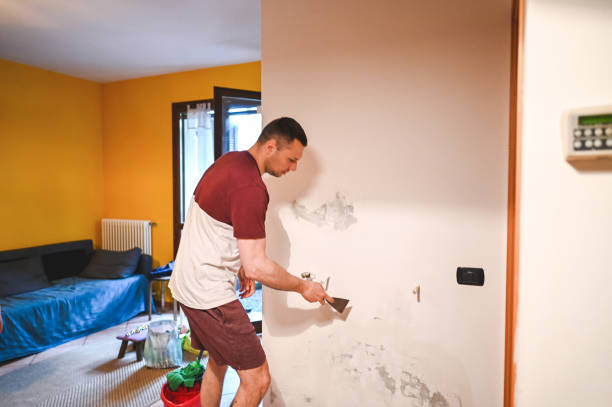 Best Emergency Mold Removal  in Tabor City, NC